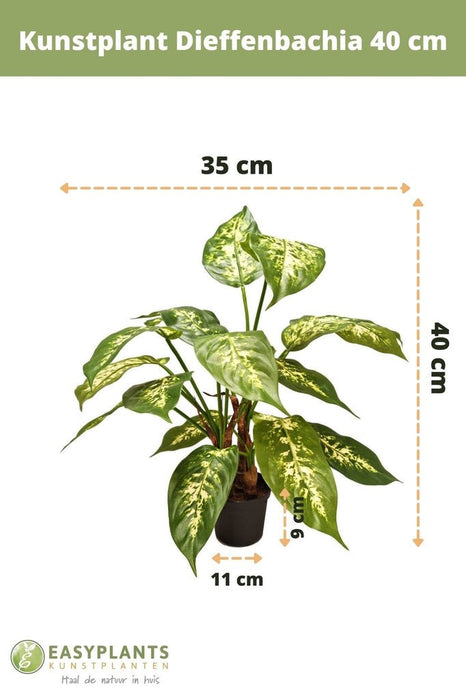 Dieffenbachia - Pianta Verde Artificiale