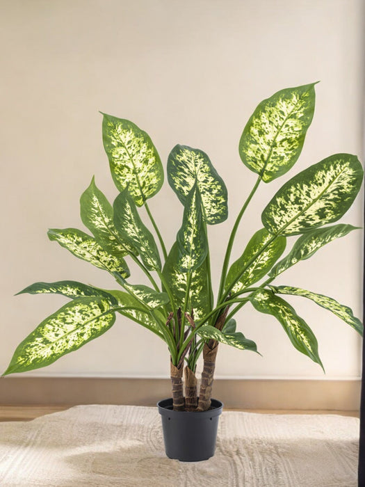 Dieffenbachia - Pianta Verde Artificiale