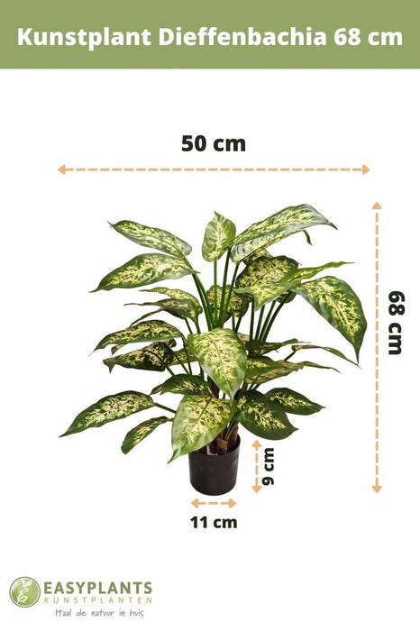 Dieffenbachia - Pianta Verde Artificiale