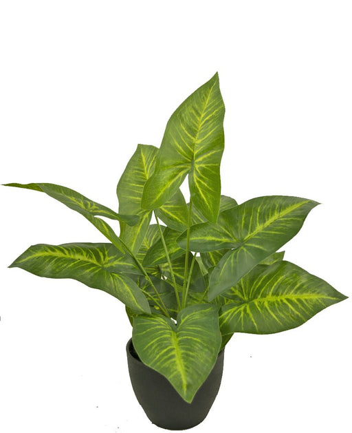 Dieffenbachia - Pianta Verde Artificiale