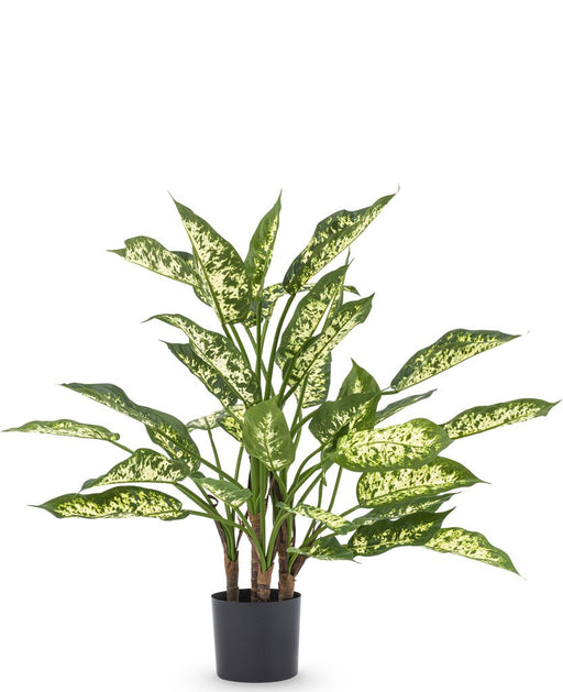 Dieffenbachia - Pianta Verde Artificiale