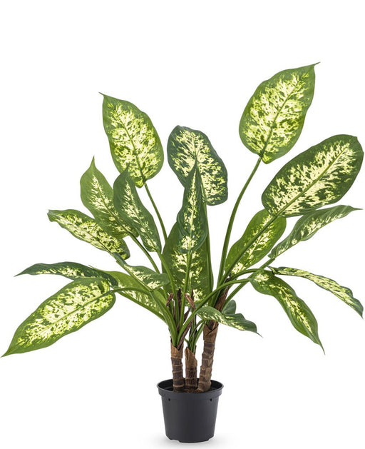 Dieffenbachia - Pianta Verde Artificiale