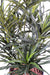 Dracena Artificiale Verde 75 Cm Per Decorazione Interni