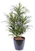 Dracena Artificiale Verde 75 Cm Per Decorazione Interni