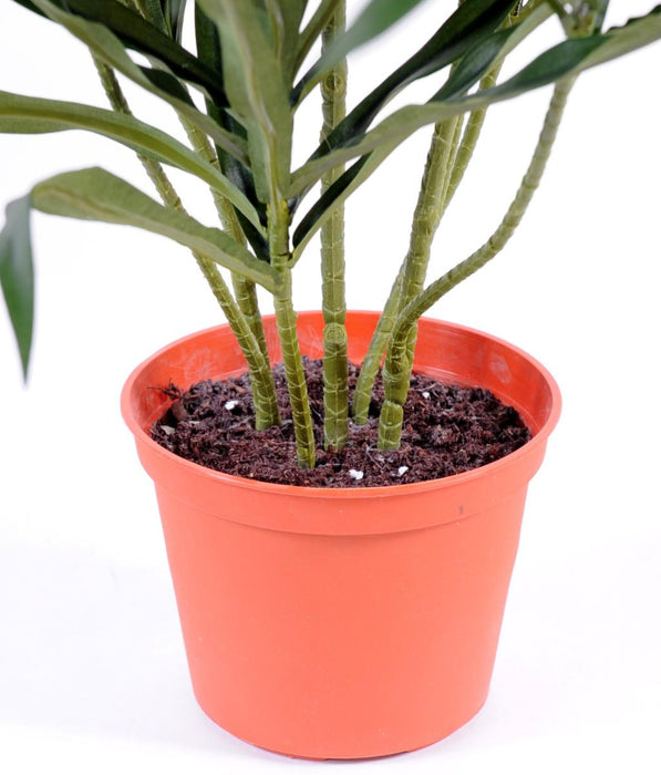 Dracena Artificiale Verde 75 Cm Per Decorazione Interni