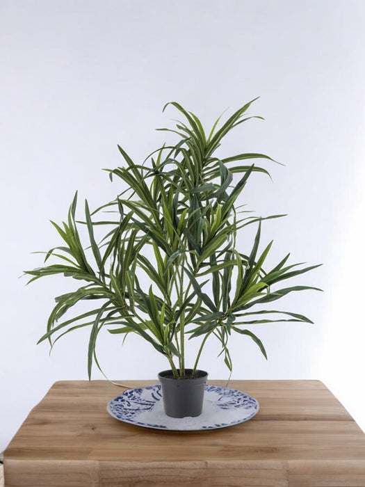Dracaena Reflexa - Pianta Verde Artificiale