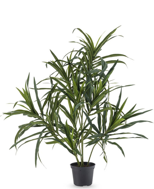 Dracaena Reflexa - Pianta Verde Artificiale
