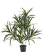 Dracaena Reflexa - Pianta Verde Artificiale