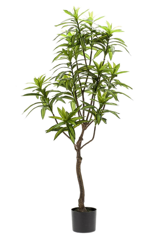 Pianta Artificiale Dracaena - H130Cm, Ø14Cm