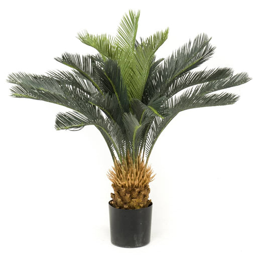 Albero Artificiale Cycas Revoluta Smeraldo In Vaso 80 Cm
