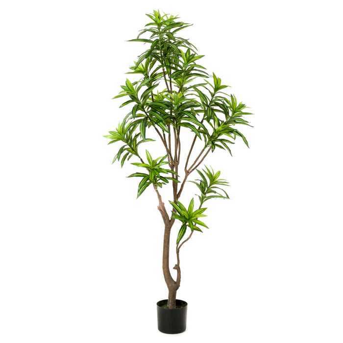 Albero Di Dracena Artificiale Smeraldo 155 Cm Verde