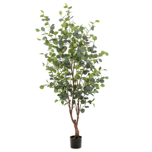 Albero Di Eucalipto Artificiale Color Smeraldo In Vaso 140 Cm
