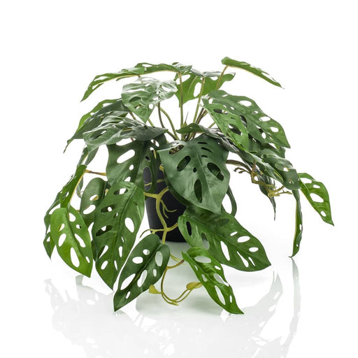 Scimmia Monstera Bush Artificiale Color Smeraldo 55 Cm In Vaso