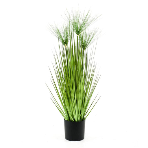 Cyperus Artificiale Smeraldo Haspan 75 Cm In Vaso