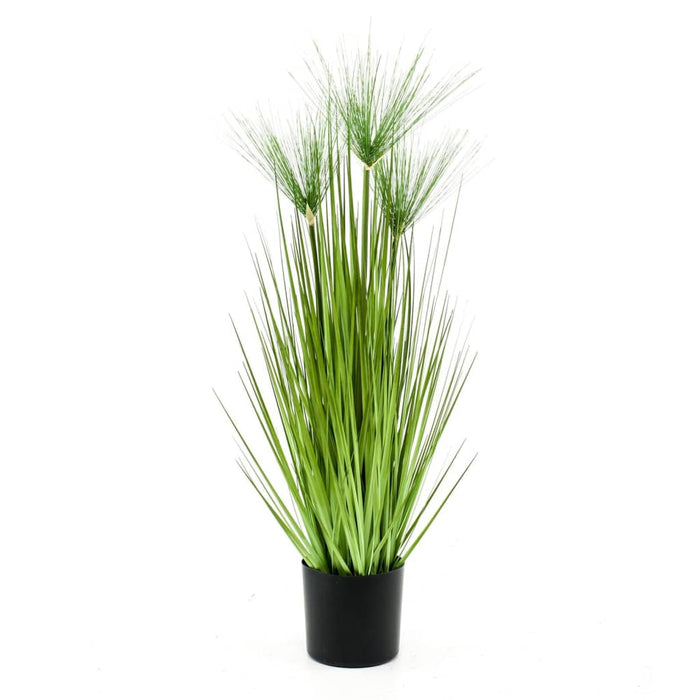 Cyperus Artificiale Smeraldo Haspan 75 Cm In Vaso