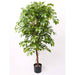 Ficus Artificiale Deluxe Smeraldo 140 Cm In Vaso