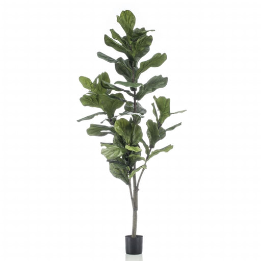 Ficus Lyrata Artificiale Smeraldo 160 Cm