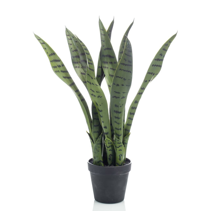 Pianta Artificiale Sansevieria Smeraldo 55 Cm In Vaso