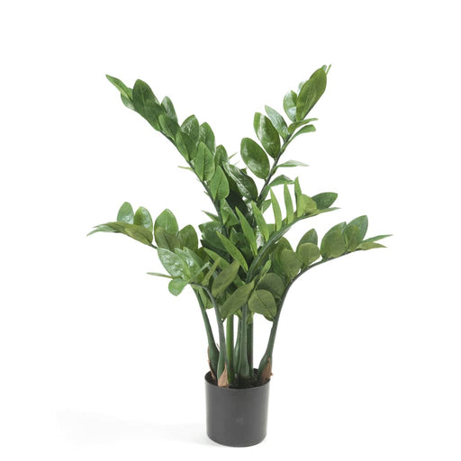 Smeraldo Zamioculcas Artificiale 70 Cm