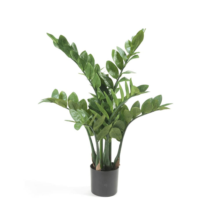 Smeraldo Zamioculcas Artificiale 70 Cm