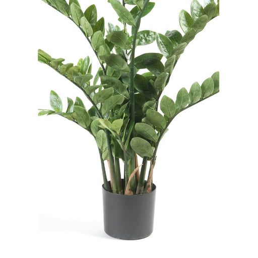 Smeraldo Zamioculcas Verde Artificiale 110 Cm 11.662C