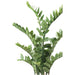 Smeraldo Zamioculcas Verde Artificiale 110 Cm 11.662C