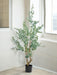Eucalipto - Albero Artificiale