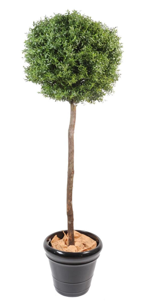 Eucalipto Artificiale 110 Cm Per Interni Ed Esterni