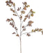 Eucalipto - Ramo Di Fioritura Artificiale