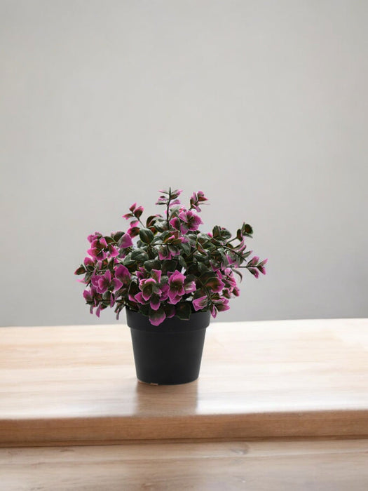 Eucalipto Viola – Pianta Artificiale Da Esterno In Vaso