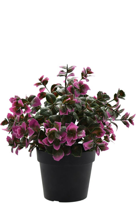 Eucalipto Viola – Pianta Artificiale Da Esterno In Vaso