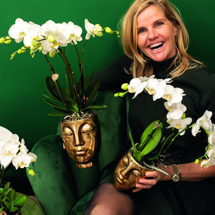 Face-2-Face - Vaso In Ceramica Dorata