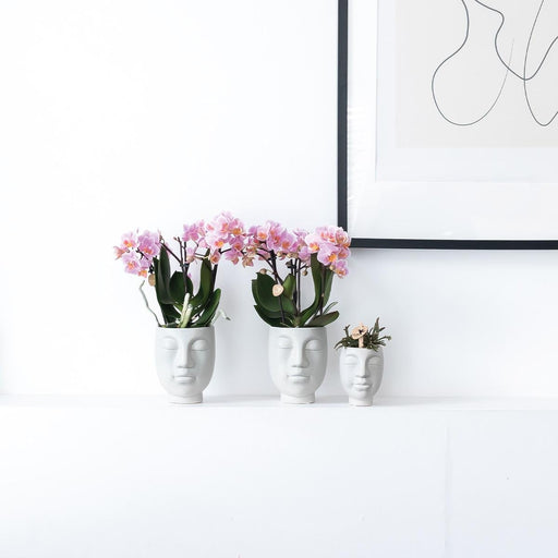 Vaso Face-To-Face - Ceramica Bianca