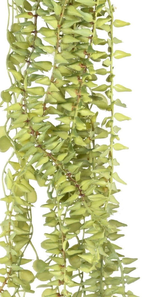 Decorazione Per Interni Con Fogliame Artificiale 60 Cm Verde