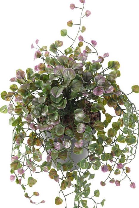 Fogliame Artificiale Dicondra 50 Cm Verde Prugna