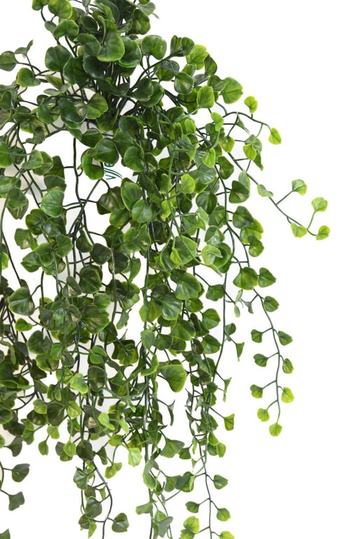 Fogliame Dicondra Artificiale 60Cm Per Esterni