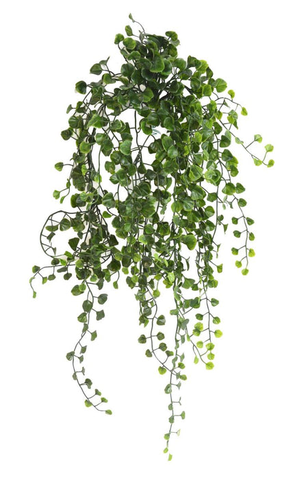 Fogliame Dicondra Artificiale 60Cm Per Esterni