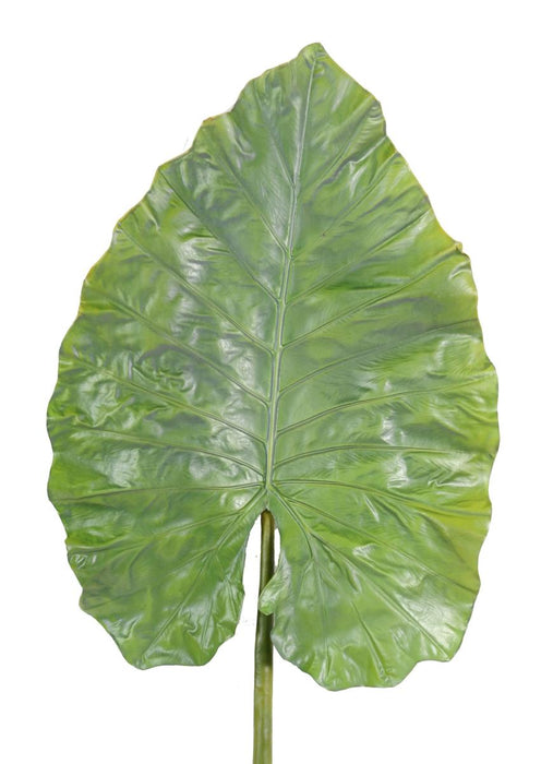 Foglia Di Alocasia Artificiale H.160Cm Per Decorazione