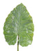 Foglia Di Alocasia Artificiale H.160Cm Per Decorazione