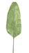 Decorazione Per Interni Con Foglia Di Banana Artificiale 165 Cm