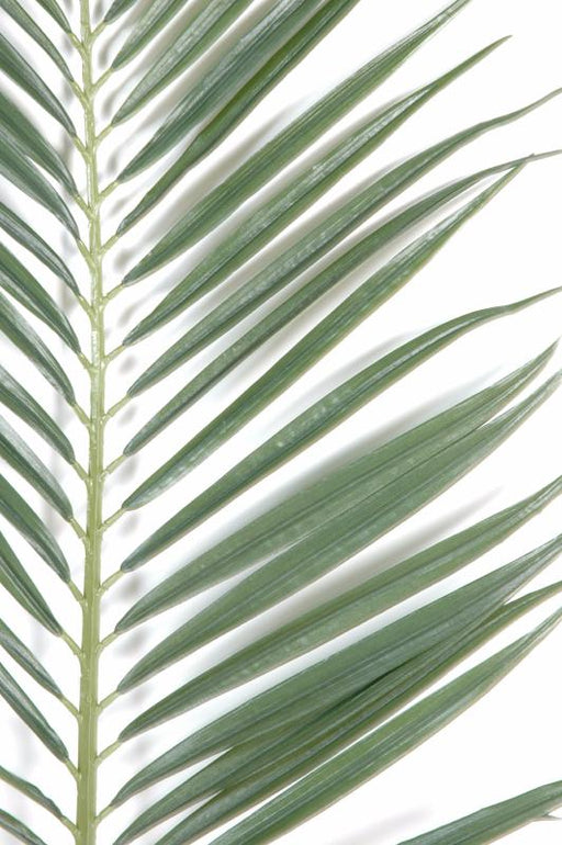 Decorazione Per Interni Con Foglie Artificiali Di Palma Majesty 105 Cm