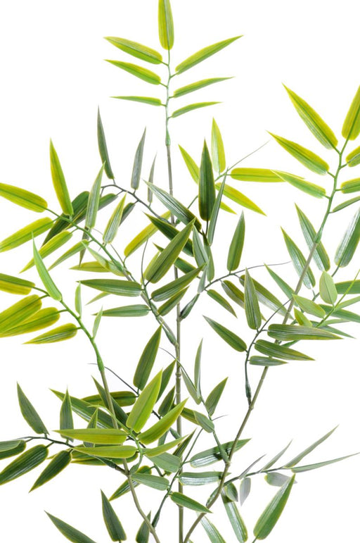Foglia Di Bambù Artificiale Per Esterno 70Cm
