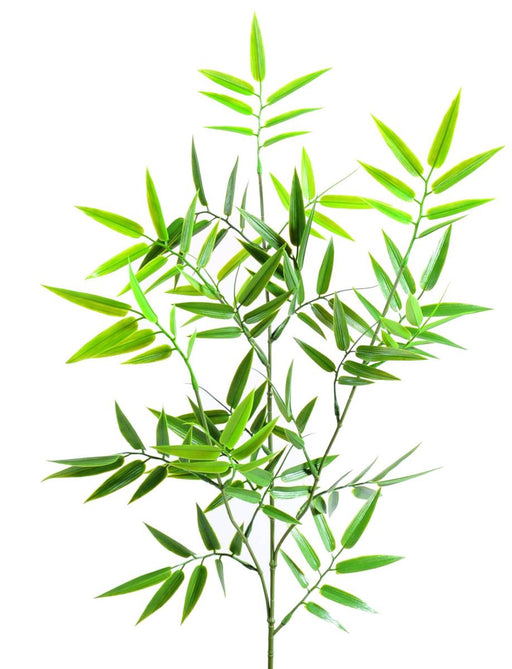 Foglia Di Bambù Artificiale Per Esterno 70Cm