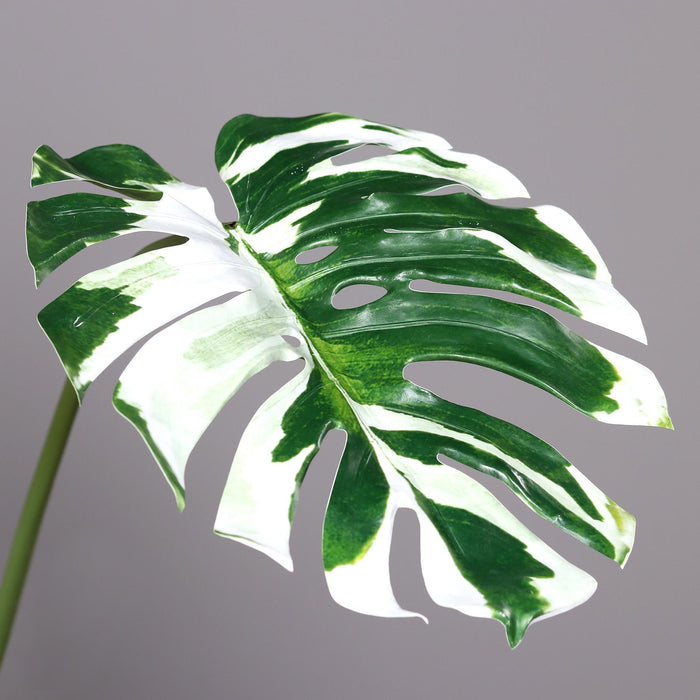 Foglia Artificiale Di Monstera 110 Cm Variegata