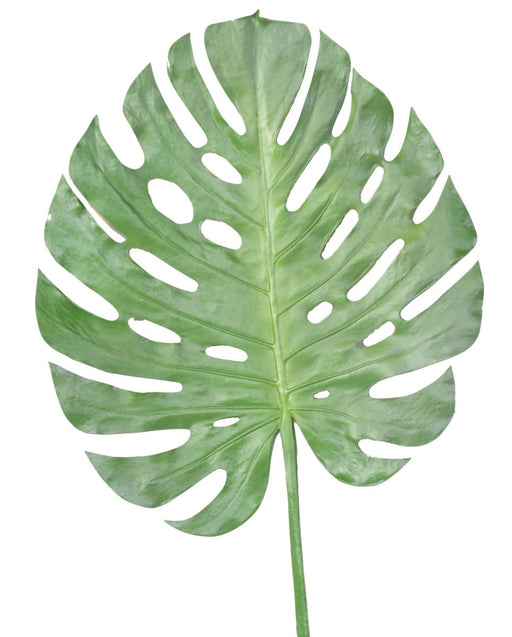 Decorazione D'interni Con Foglia Artificiale Di Monstera Da 120 Cm