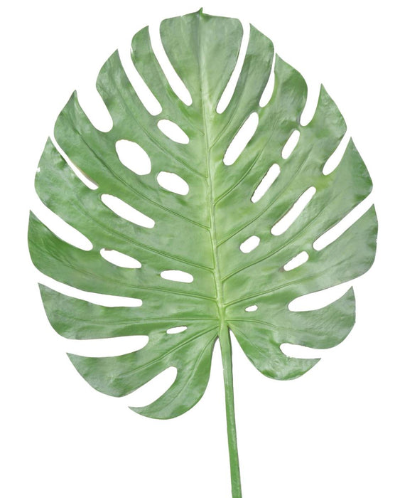 Decorazione D'interni Con Foglia Artificiale Di Monstera Da 120 Cm