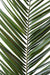 Foglia Di Palma Artificiale Phoenix Canariensis 150 Cm