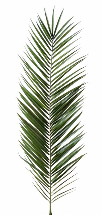 Foglia Di Palma Artificiale Phoenix Canariensis 150 Cm