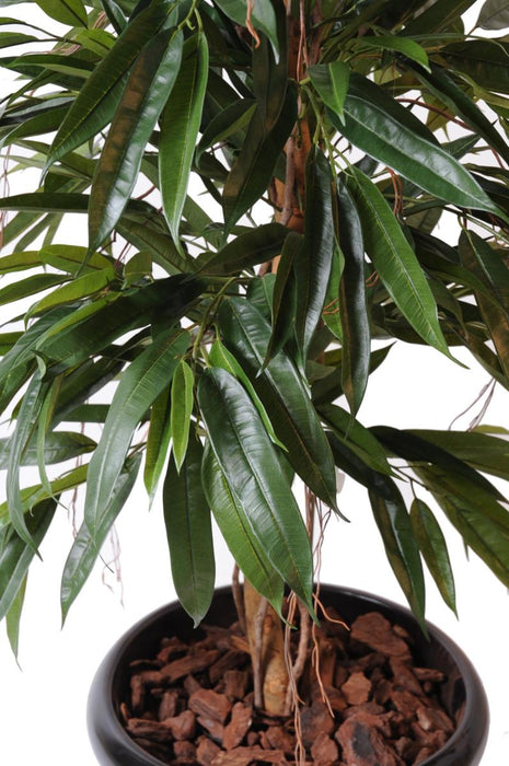 Pianta Da Interno Verde Artificiale Ficus Alii 160 Cm