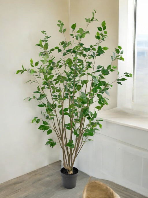 Ficus - Albero Artificiale
